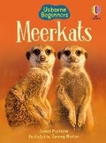 Cover: Meerkats - Usborne Publishing Ltd