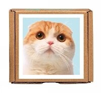 Enlarge image Cover: Waffles the Cat GreenGift-Notes - teNeues Publishing Company