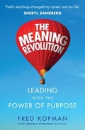 Cover: The Meaning Revolution - Virgin Digital