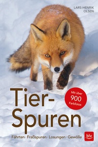 Enlarge image Cover: Tier-Spuren - BLV