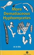 Cover: More Dematiaceous Hyphomycetes - CABI Publishing