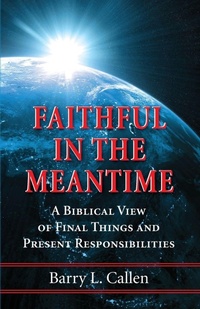 Enlarge image Cover: Faithful in the Meantime - Wipf & Stock Publishers