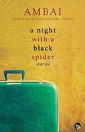 Cover: A Night with a Black Spider - Speaking Tiger Publishing Private Limited