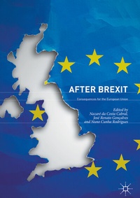 Abbildung von: After Brexit - Palgrave Macmillan