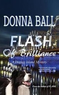 Cover: Flash of Brilliance - Blue Merle Publishing