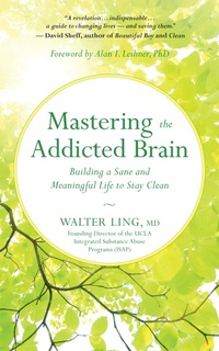 Enlarge image Cover: Mastering the Addicted Brain - New World Library