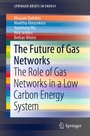 Cover: The Future of Gas Networks - Springer