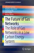 Cover: The Future of Gas Networks - Springer