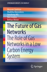 Enlarge image Cover: The Future of Gas Networks - Springer