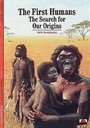 Cover: First Humans, The:The Search for our Origins - Thames & Hudson Ltd
