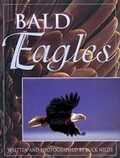 Cover: Bald Eagles - Schools