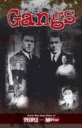 Cover: Crimes of the Century: Gangs - J H Haynes & Co Ltd