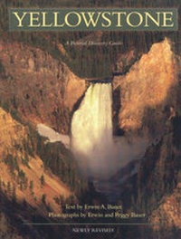 Enlarge image Cover: Yellowstone - Voyageur Press