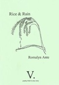 Cover: Rice & Rain - V. Press