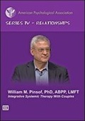 Cover: Integrative Systemic Therapy With Couples - American Psychological Association