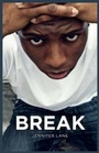 Cover: Break - Badger Publishing