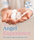 Cover: The Angel Experience - Godsfield Press Ltd
