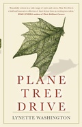Cover: Plane Tree Drive - MidnightSun Publishing Pty
