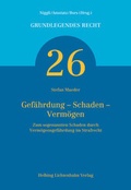 Cover: Gef&auml;hrdung - Schaden - Verm&ouml;gen - Helbing & Lichtenhahn