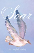 Cover: Soar - Agate Bolden