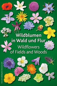 Abbildung von: Wildblumen in Wald und Flur - Keller-Krische