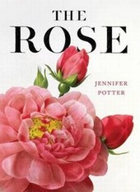 Enlarge image Cover: The Rose - Callisto