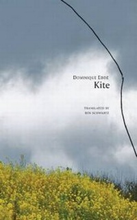 Enlarge image Cover: Kite - Seagull Books London Ltd