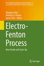 Cover: Electro-Fenton Process - Springer