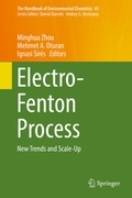 Cover: Electro-Fenton Process - Springer