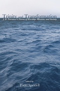 Cover: Trinity and Transformation - Wipf and Stock
