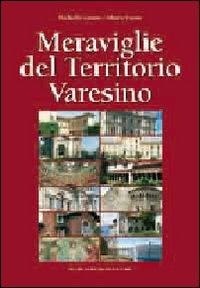 Abbildung von: Meraviglie del territorio varesino - Macchione Editore