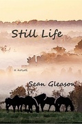 Cover: Still Life - NEWCASTLEWEST BOOKS