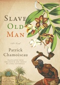 Cover: Slave Old Man - The New Press