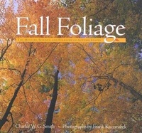 Enlarge image Cover: Fall Foliage - Skirt!