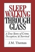 Cover: Sleepwalking Through Glass - Niche Creativity