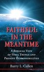 Cover: Faithful in the Meantime - Wipf & Stock Publishers