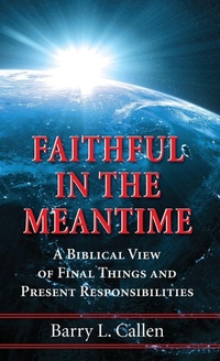 Enlarge image Cover: Faithful in the Meantime - Wipf & Stock Publishers