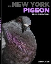 Abbildung von: The New York Pigeon - powerHouse Books,U.S.