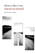 Cover: American Journal - Dalkey Archive Press