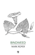 Cover: Bindweed - Dedalus Press