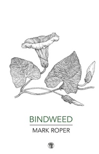 Enlarge image Cover: Bindweed - Dedalus Press