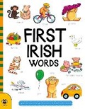 Cover: First Irish Words - b small publishing limited