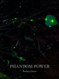 Enlarge image Cover: Phantom Power - Daylight Books