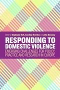 Cover: Responding to Domestic Violence - Jessica Kingsley Publishers