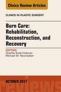 Cover: Burn Care: Reconstruction, Rehabilitation, and Recovery, An Issue of Clinics in Plastic Surgery - Elsevier