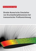 Cover: Direkte Numerische Simulation von Druckwellenph&auml;nomenen bei transsonischer Profilumstr&ouml;mung - Shaker