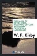 Cover: The Boy General - Trieste Publishing