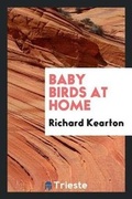 Cover: Baby Birds at Home - Trieste Publishing