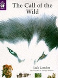 Cover: Call of the Wild - Penguin