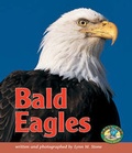 Cover: Bald Eagles - Lerner Publishing Group